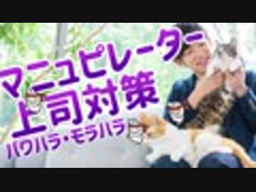 【モラハラ】脅して操るマニュピレーター上司を撃退するには【パワハラに倍返し】