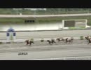 2019年5月11日高知競馬6R 別府教神奈川支部協賛 祝！別府教祖様特別(C2-5組) アワジノルーキー