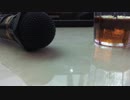 「Wandering Dream Chaser」歌ってみた