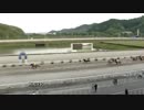 2019年5月11日高知競馬7R 吉橋・萩原・渋谷協賛 祝別府真司二千勝特別(C2-4組) ベルウッドテラス