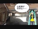 【素人養蜂　Part49】不安いっぱいです