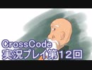 広大な世界を冒険しよう！　CrossCode実況プレイpart12