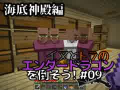 イヌとトラのエンダードラゴンを倒そう！Part.10 ～海底神殿編～