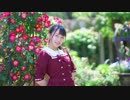 【ふう。】流星ダイアリー 踊ってみた【はぐぺん】