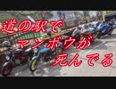 【ゆっくり車載】道の駅でマンボウが死んでる【part34】