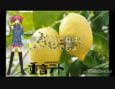 Lemon(米津玄師) / 重音テト〈UTAUcover〉