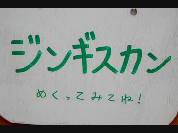 撮りためてる動物写真を公開してみる その4