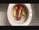 プリングルズをトイレに流してみた６