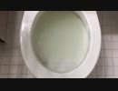 砂糖をトイレに流してみた