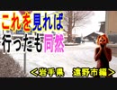 【遠野市】岩手県遠野市の全てをご紹介、これを見れば行った気になれる！！（俺の旅行記）[俺のシリーズ]