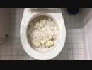 アイスクリームをトイレに流してみた３