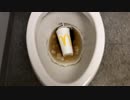 マクドナルドのコーラとハンバーガーをトイレに流してみた