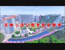 【Minecraft】1年かけて作った街を空中散歩