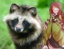 タヌキに天下を取らせた漢達③【鳥居元忠】