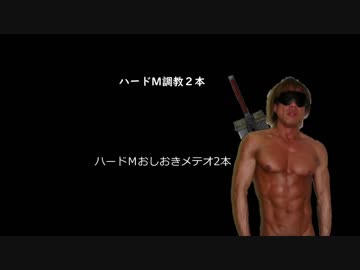 ノムリッシュハードＭ調教２本