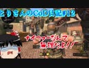 【ゆっくり実況】とりさんのCoD日記#10【CoD:Bo4】