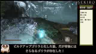 【ゆっくり】SEKIROエンジョイRTA＿2時間54分33秒（一周目人返りオールボス）Part4