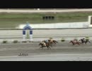 2019年5月11日高知競馬8R 第５２回木下智史協賛 令和でも木下智史特別(C2-3組) セトアロー