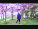 【めぐみ】 流星ダイアリー（H△G） 【踊ってみた】