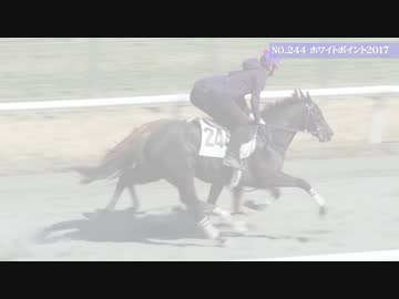 【競馬】HBAトレーニングセール2019　エクワインレーシング上場馬紹介PV