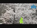 八戸高専学生歌- 標 Trance Remix