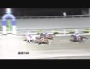 2019年5月12日高知競馬10R カーネーション特別(C3-1組) プラチナコード