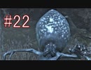 Bloodborne 最高難易度7周目 本編＆DLC全ボス撃破 全ED制覇 実況プレイ #22