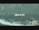 【ゼル伝BotW】100年の眠りから目覚めた勇者の冒険７２【もちまる】