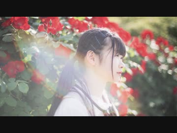 【れな】ハルイチ。踊ってみた【初投稿】