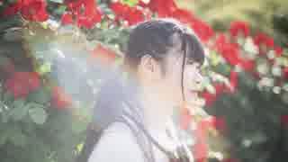 【れな】ハルイチ。踊ってみた【初投稿】