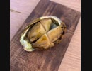 ❺❺アワビ