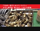 「うるめ一夜干し＆スペースパン」　丸干し専門店　和（カズ）　いわしの乾物