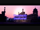 【VY1】Phototactic Swallowtail【オリジナル】by Maynith
