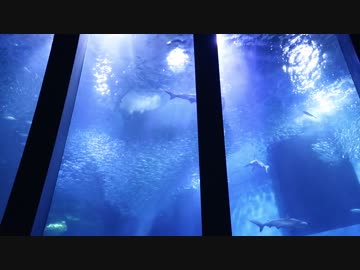 イ(ワシ)級スーパーイリュージョン