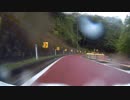 奥多摩周遊道路