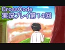 広大な世界を冒険しよう！　CrossCode実況プレイpart14