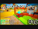 【Staxel】たまにはのんびり町づくりpart26