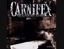 歌ってみた　Carnifex-Lie To My Face