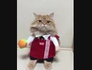 世界一可愛いケンタッキーの店員。まちがいない！