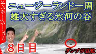 【一人旅】会社を辞めてニュージーランド一周旅行 【8日目】雄大過ぎる氷河の谷フォックスグレイシア