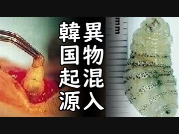 韓国アシアナ航空の国際線で機内食から耳を疑うあり得ない異物混入事件発生、発覚後隠蔽工作もバレて大炎上！