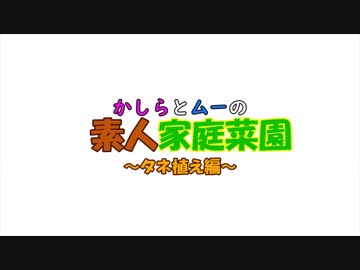 【家庭菜園】素人２人が家庭菜園に挑戦 #4 ～種植え編～