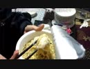 ずいえきの五目あんかけUFO