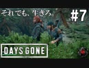 #7 【DAYS GONE】石ころパイセンマジ卍【ゆっくり実況】