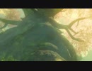 【実況】ブレスオブザワイルドはじめまして part31