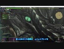 【MHF】負け犬ハンター特別編　gdgdラヴィエンテその１　第１ｐ