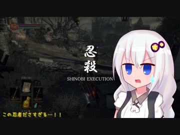 葵ちゃんがのんびり冒険する云々 Pt.04