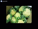L'Arc〜en〜Ciel　をカリってみた