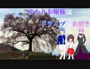 ゆかりお嬢様はドライブもお好き　ep2 「山梨→愛知→長野ドライブ」　