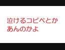 【2ch】泣けるコピペとかあんのかよ